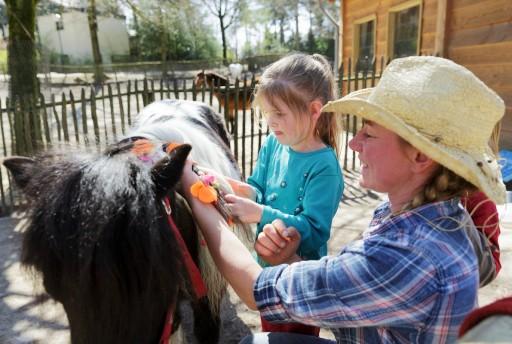 Nieuw bij Center Parcs Het Meerdal: Boek een Pony Vakantie