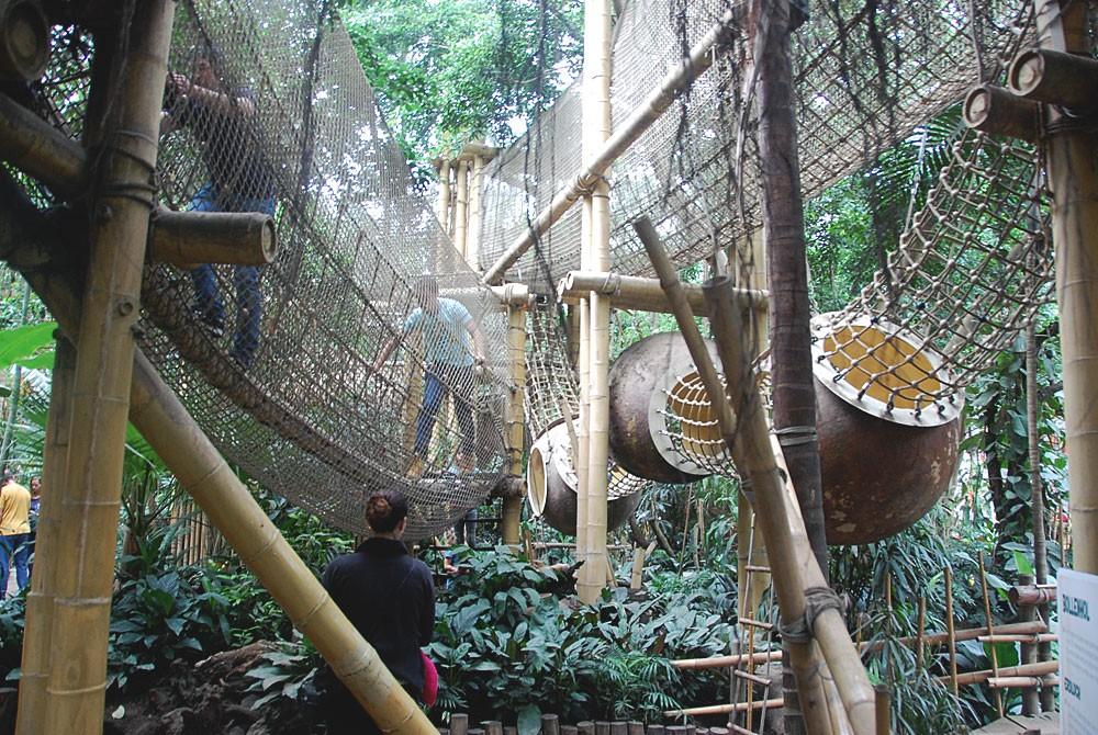 Speeltuin in de Jungle Dome van Center Parcs Het Heijderbos