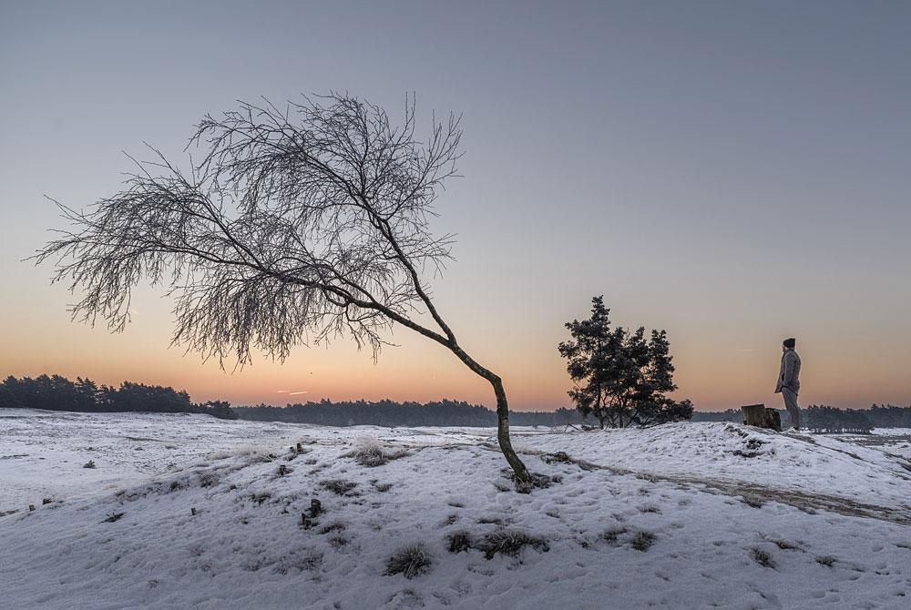 De Veluwe in de winter, Landal Miggelenberg