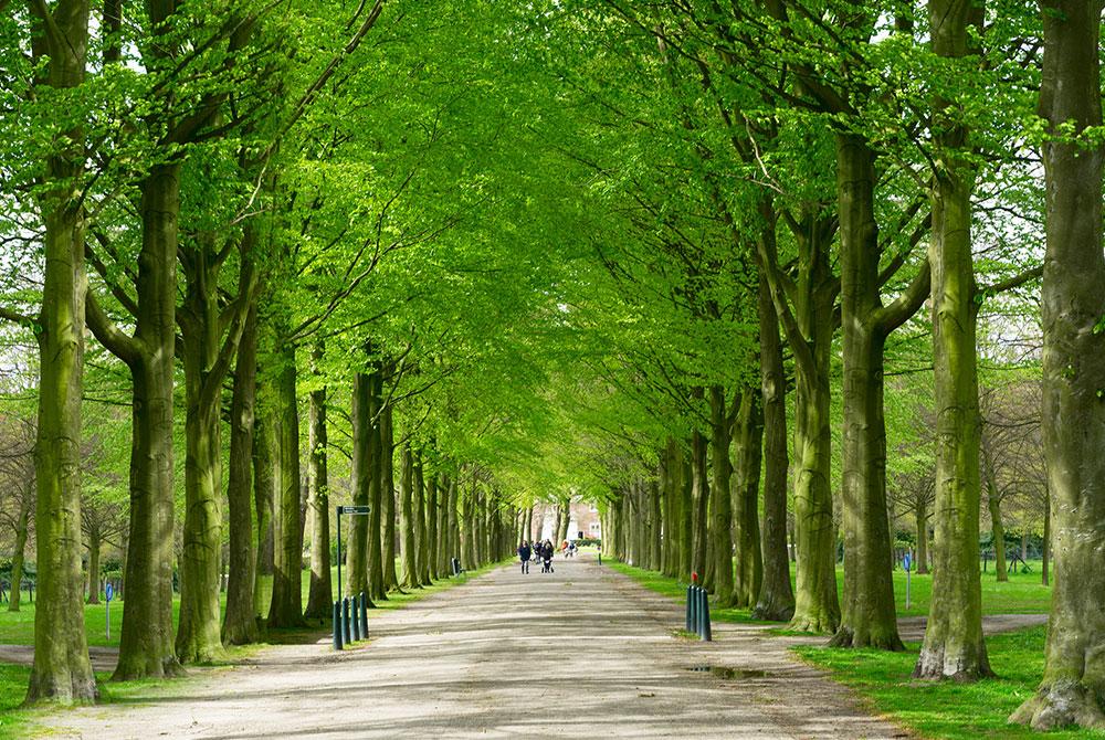 Landgoed Clingendael, mooiste wandelgebieden Nederland