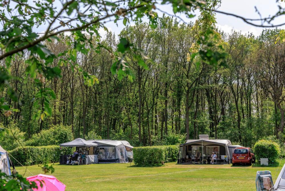 Camping de Reeënwissel, camping Drenthe