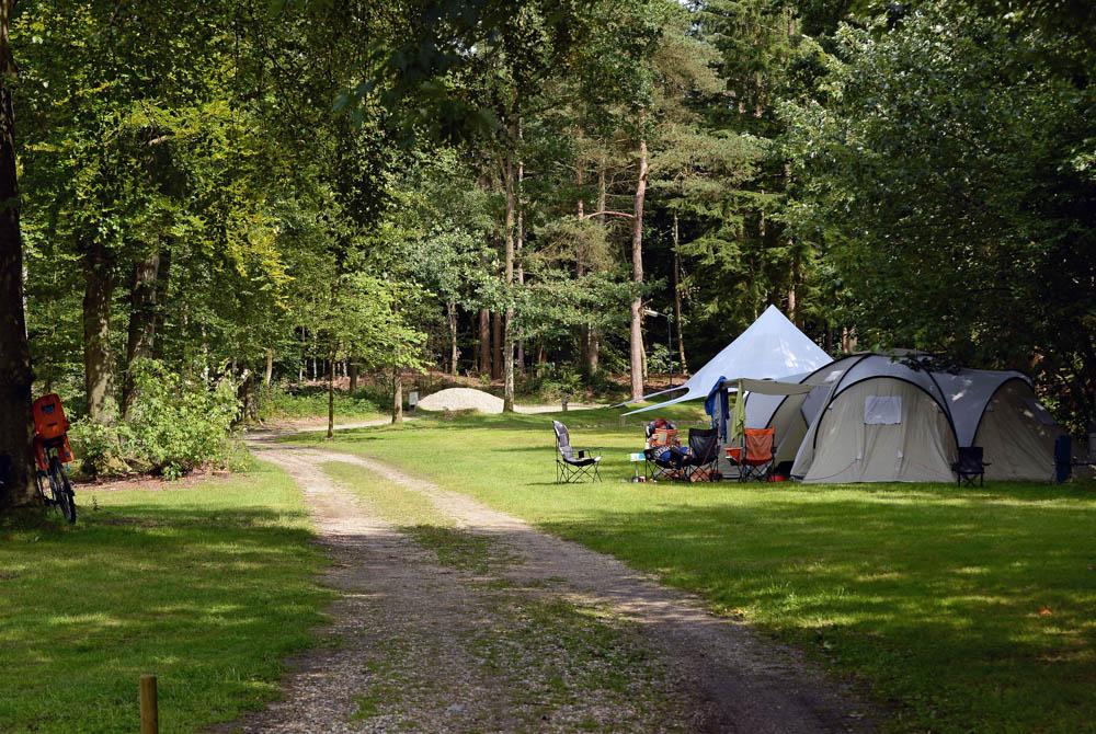 Camping ’t Vlintenholt, camping Drenthe
