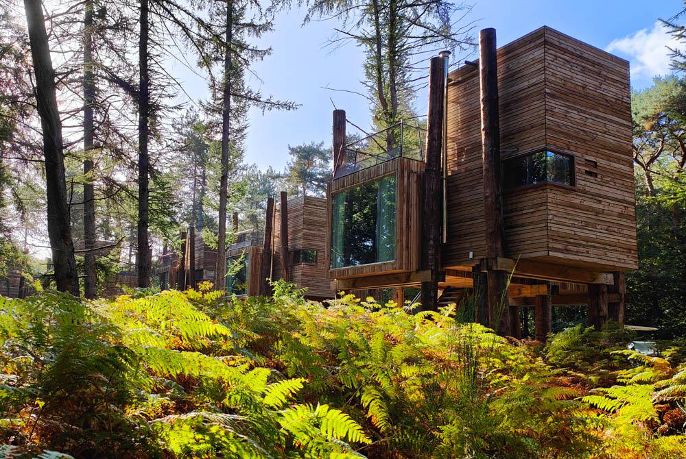 Onze Treeloft boomhut, review Landal Forest Resort Your Nature