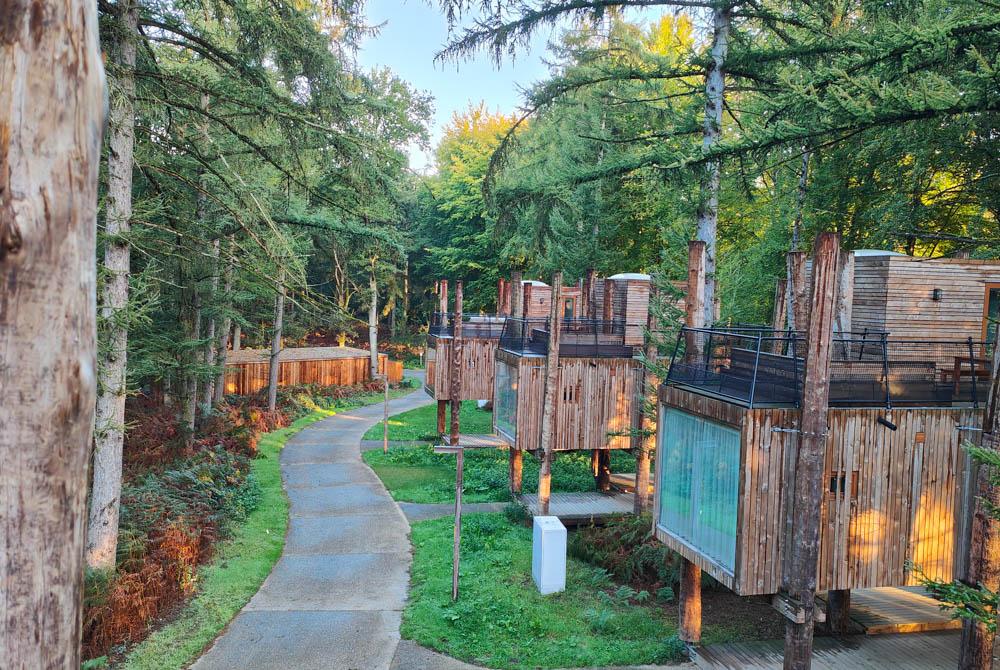 Boomhutten, review Landal Forest Resort Your Nature