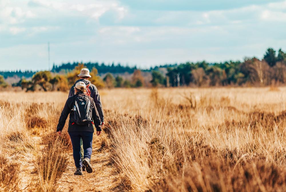 Wandelen Fochteloërveen