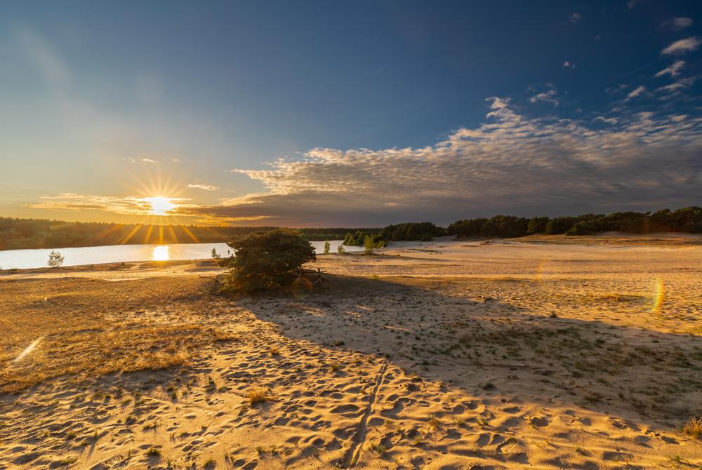 Natuurgebied de Lommelse Sahara, Landal Het Vennenbos