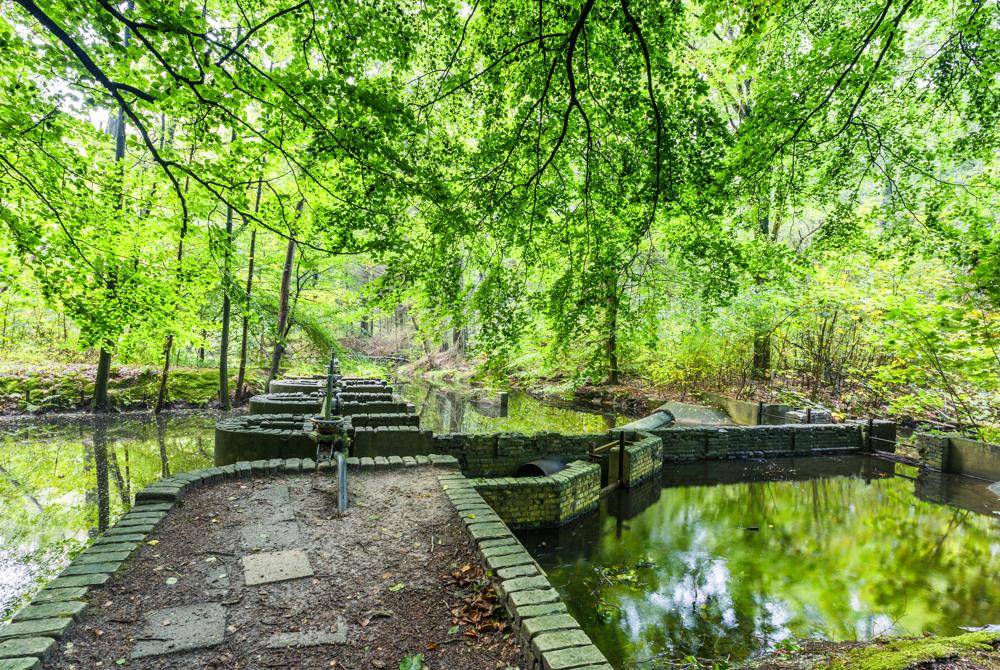 Waterloopbos, mooiste bezienswaardigheden Flevoland