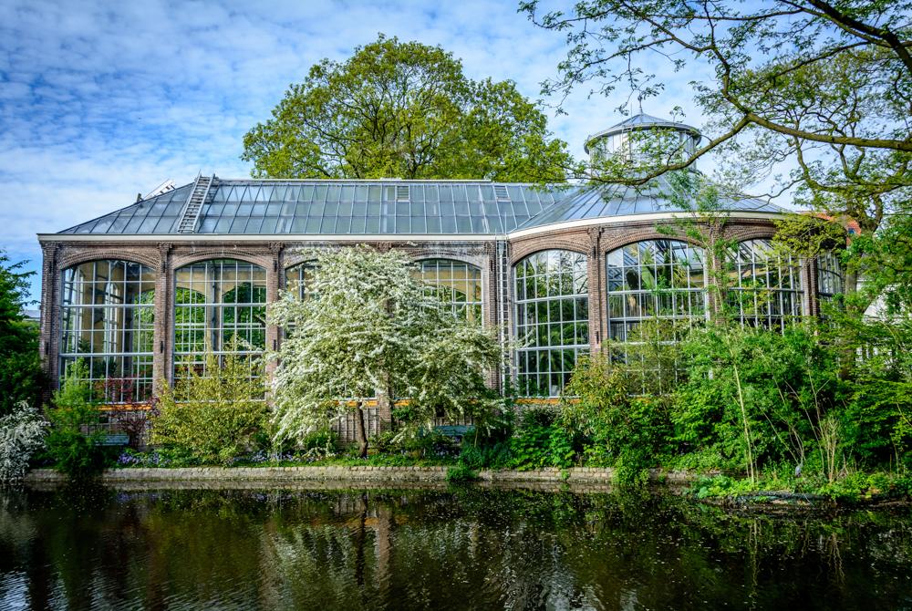 Hortus Botanicus Amsterdam, stedentrip Amsterdam