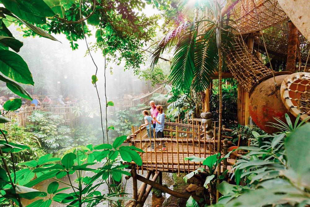 Center Parcs Het Heijderbos, Kindvriendelijk vakantiepark in Limburg