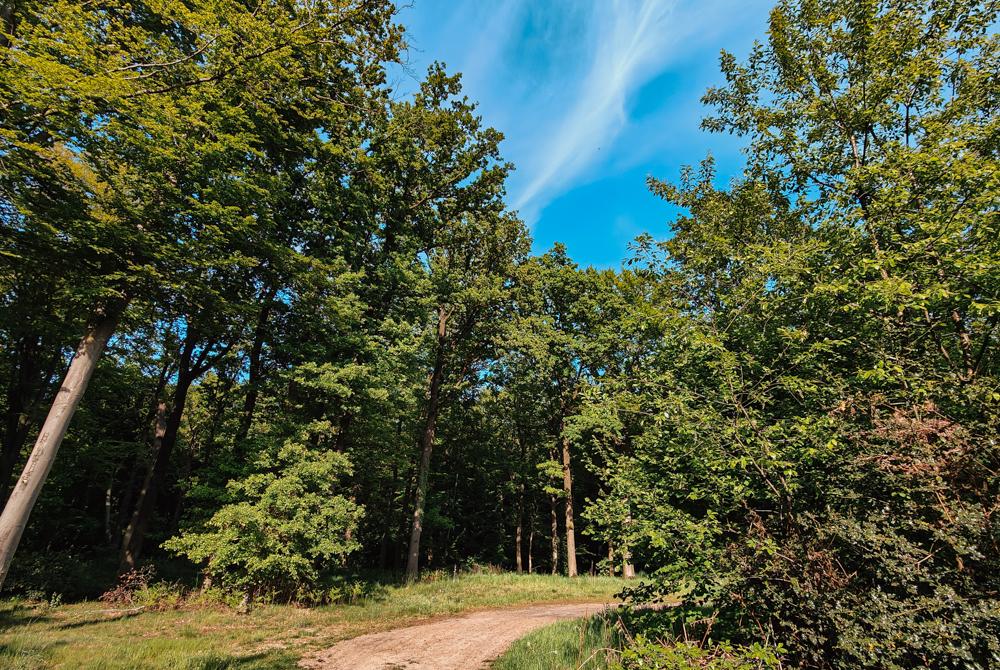 Natuur, Landal Olde Kottink review