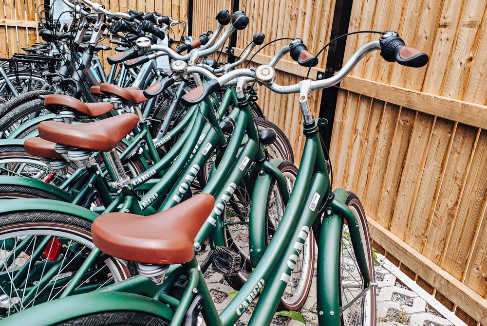 Fietsen, review Landal Park Eksel