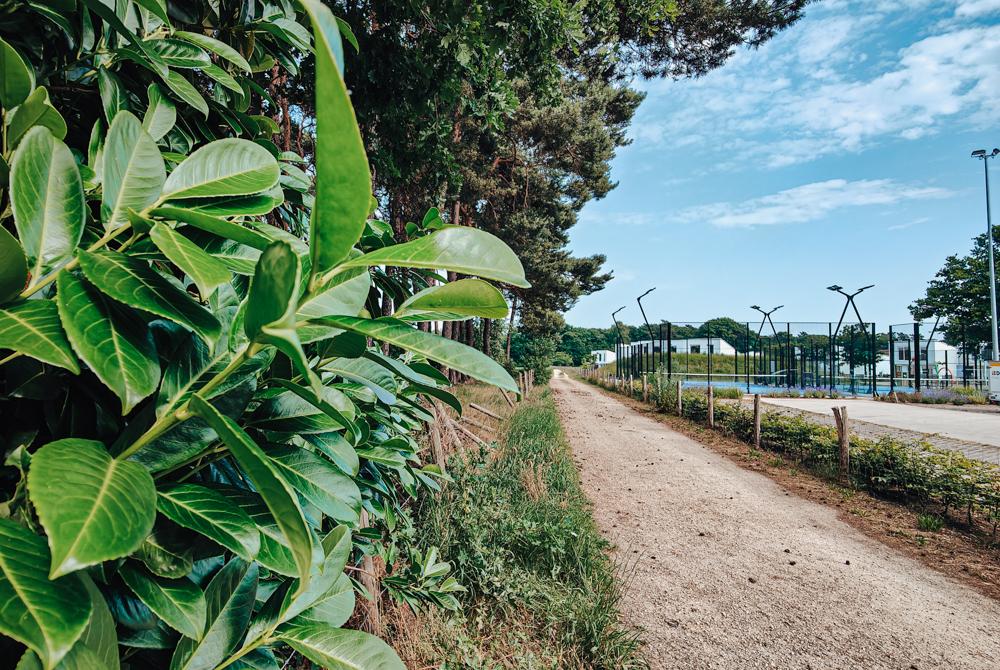 De natuur is overal, Landal Park Eksel review