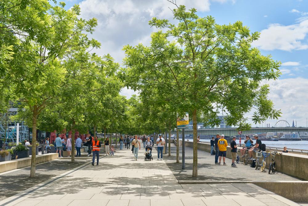 Rheinpromenade, stedentrip Keulen