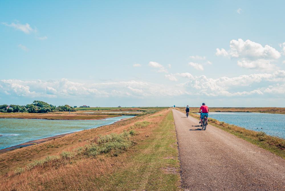 Renesse natuur
