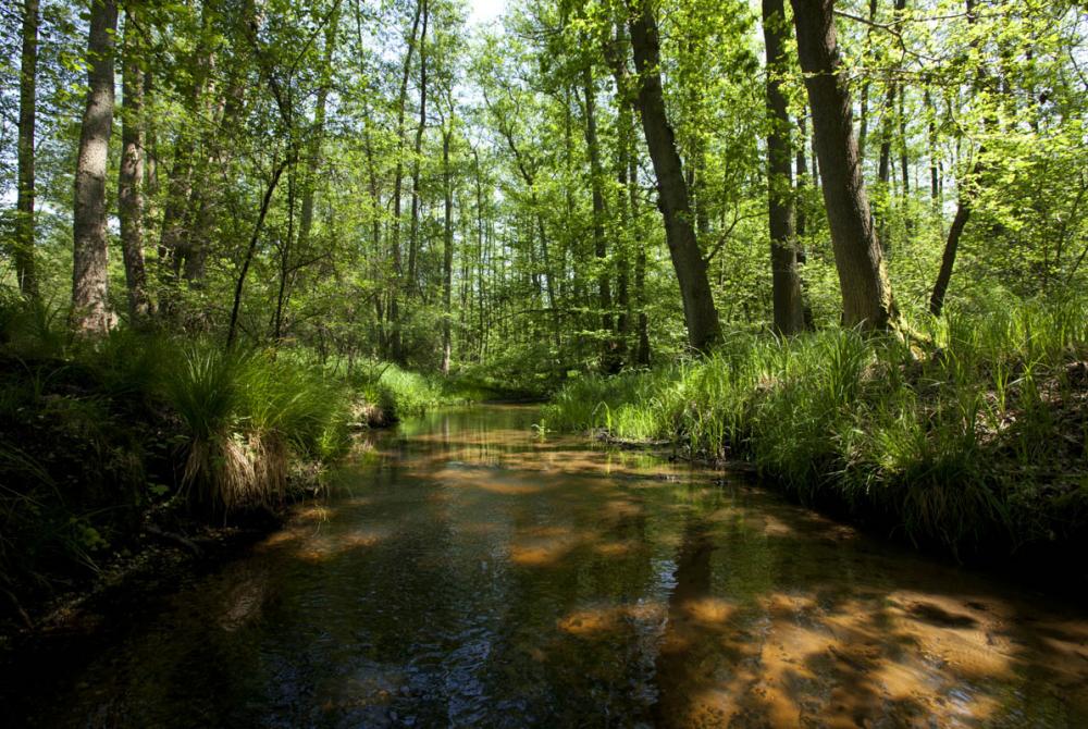 Het landschap van het Nationaal Park De Meinweg is eeuwenoud en ontzettend divers