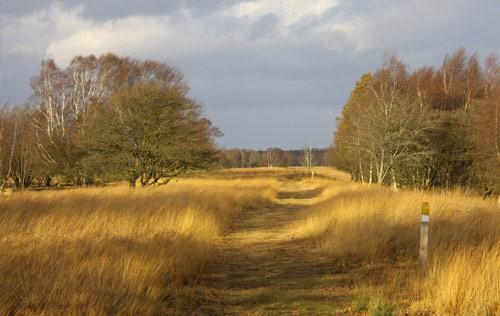 Vakantieparken Drenthe