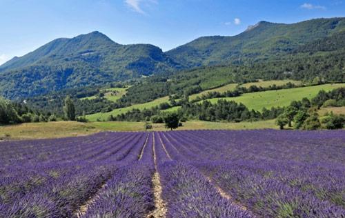 Vakantieparken Rhône-Alpen