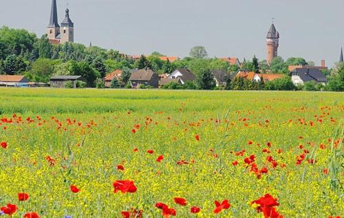 Vakantieparken Saksen-Anhalt